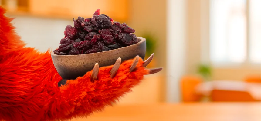 Jak vybrat brusinky? Grizly poradí
