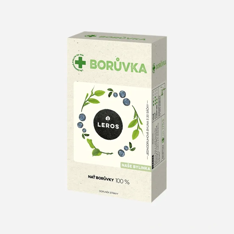 Borůvka