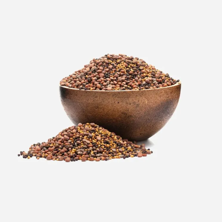 Brokolice, ředkev, jetel BIO mix semínek na klíčení 6 x 250 g