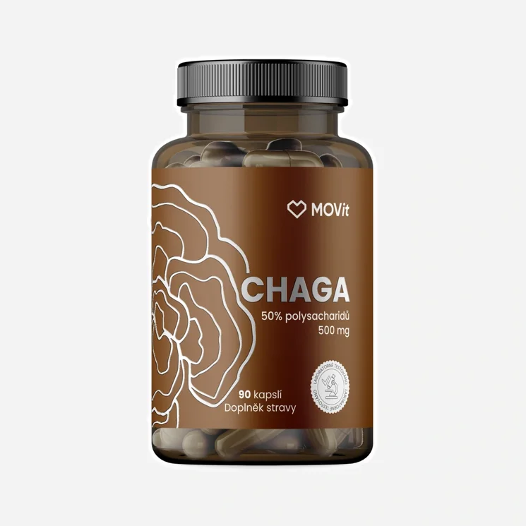 Chaga 50% polysacharidů 500 mg