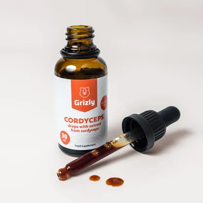 Cordyceps