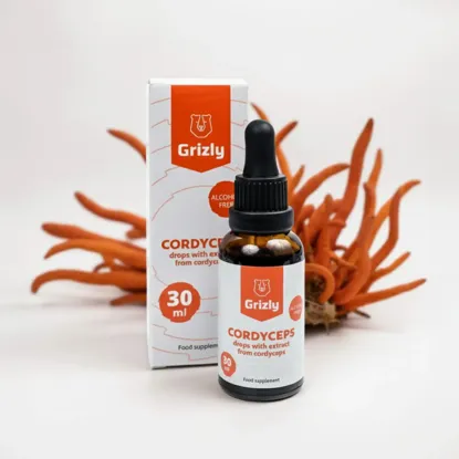 Cordyceps