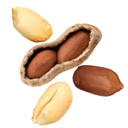 Arašídy