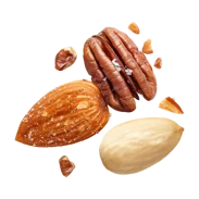 Ořechové směsi