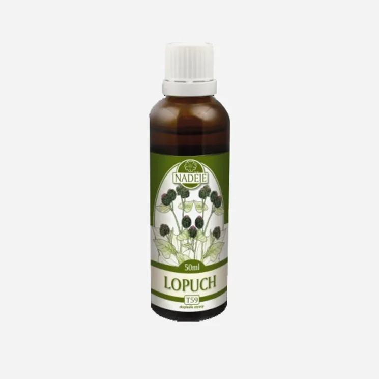 Lopuch tinktura z byliny 6 x 50 ml