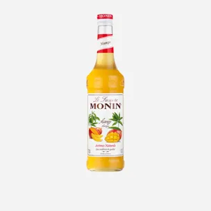 Mango 12 x 700 ml