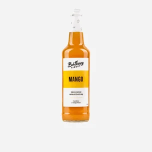 Mangový sirup 12 x 500 ml