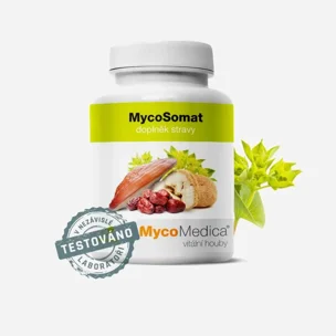 MycoSomat 90 tablet 6 x 90 tablet