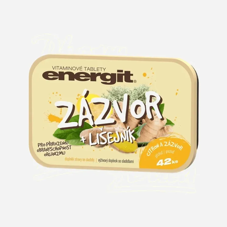 Zázvor a lišejník 6 x 42 tablet
