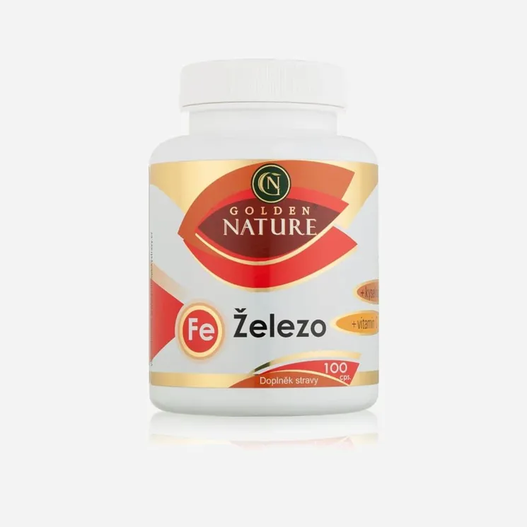 Železo+Vitamin C+Kys. listová 100 tablet 6 x 100 kapslí