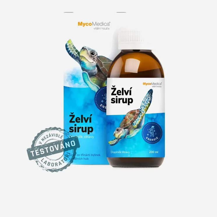 Želví sirup 12 x 200 ml